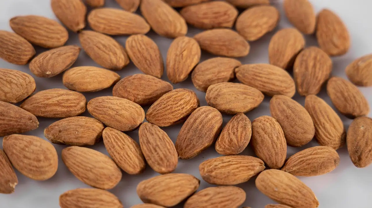 Belle récolte d'amandes