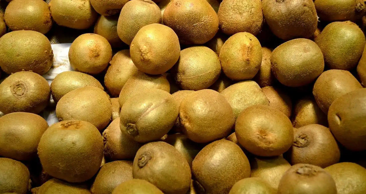kiwis à maturité