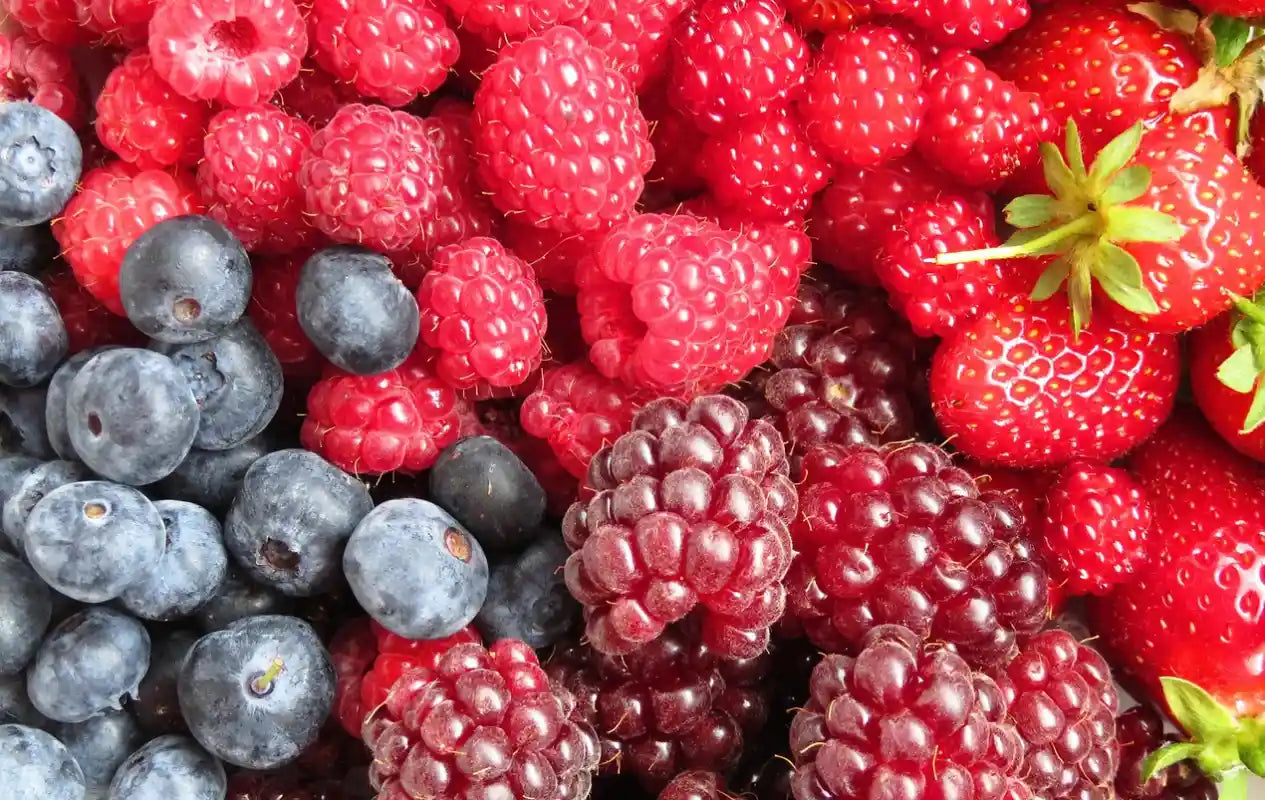 petits fruits rouges et baies